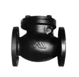 [03VC2] VALVULA CHECK DE FO.FO. DE 2''