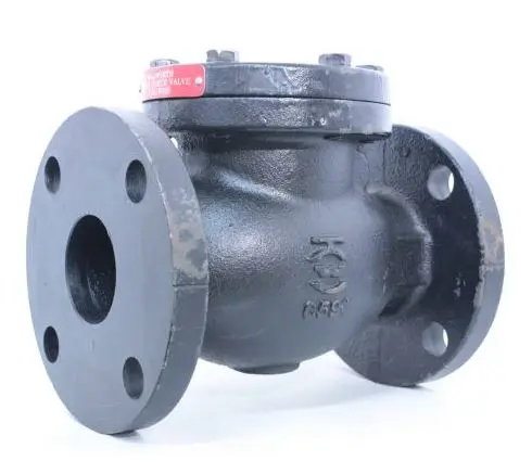 [03VC6] VALVULA CHECK DE 6" DE FO.FO. 125 LBS
