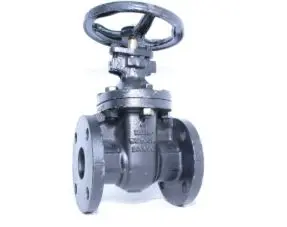 [03VCVS10] VALVULA COMP. V/S DE 10'' DE FO.FO. 250 LBS